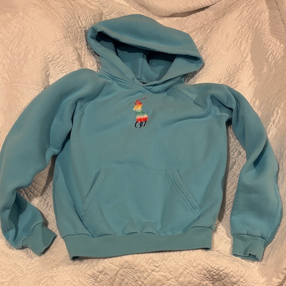 Polo Ralph Lauren Kids Aqua Hoodie with Colorful polo big pony Embroidery - Picture 5 of 6